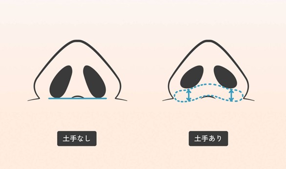 鼻の鼻腔底(土手)の位置の図解