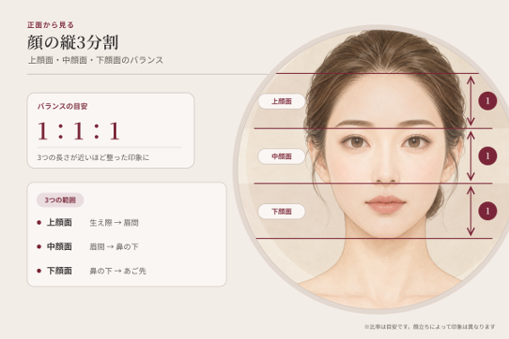 正面から見た顔の縦3分割のバランスを解説したイラスト図解