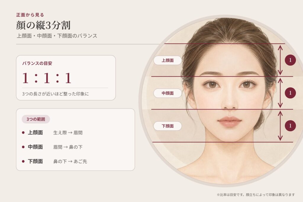 顔の縦3分割