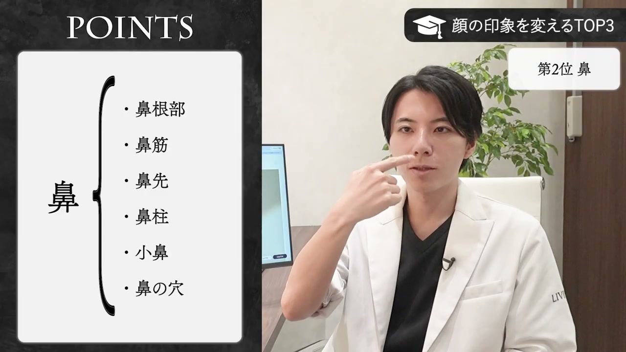 鼻根部・鼻筋・鼻先・鼻柱・小鼻・鼻の穴という鼻のパーツを説明する新行内
