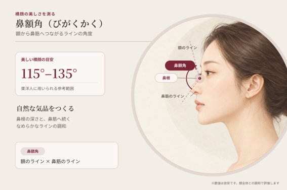 横顔の美しさを測る鼻額角(びがくかく)の基準値と理想的なラインの解説